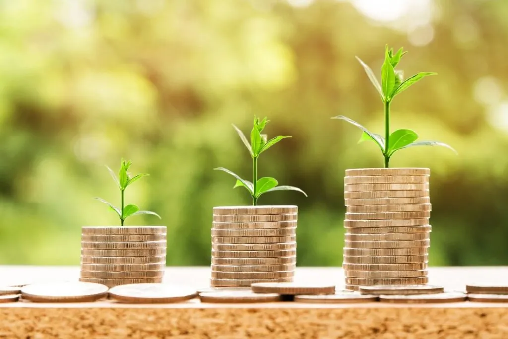 Plants growing on stacked coins outdoors